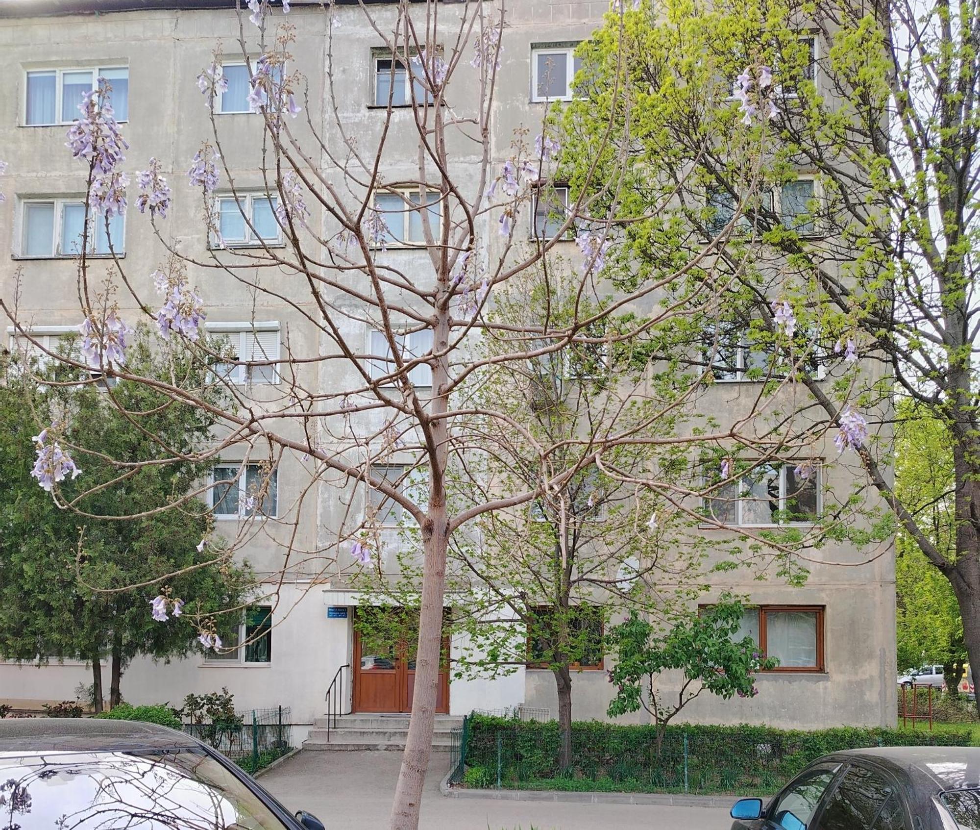 Arka Apartment Craiova Exterior foto